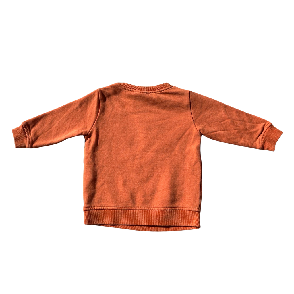 Pull [Tape à l'oeil] 9 mois