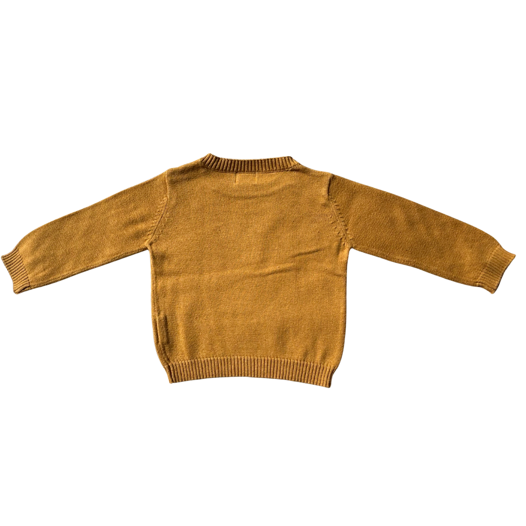 Pull [Mots d'enfants] 9 mois